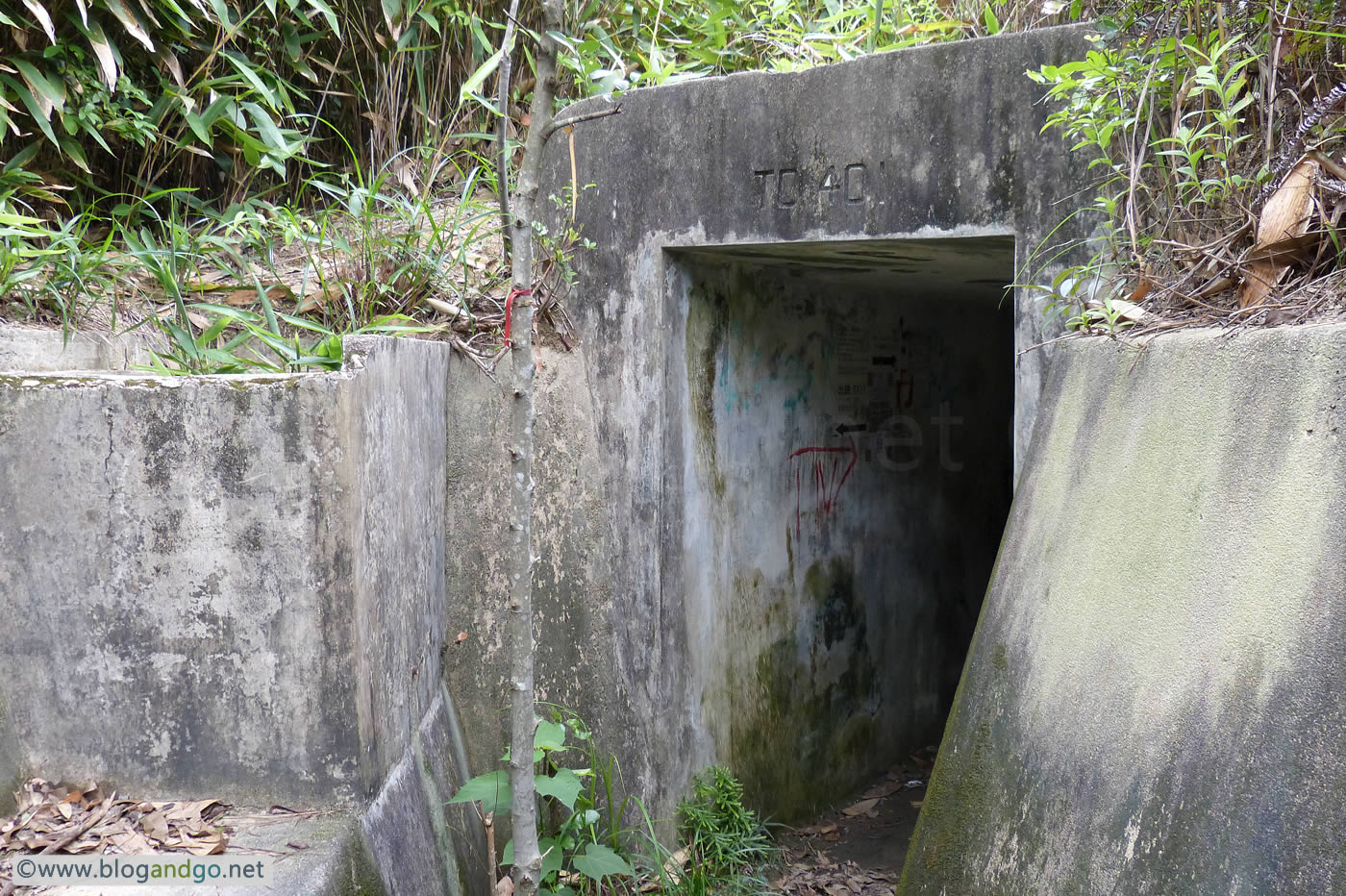 Shing Mun Redoubt - Oxford Street Trench to 401 (PB)